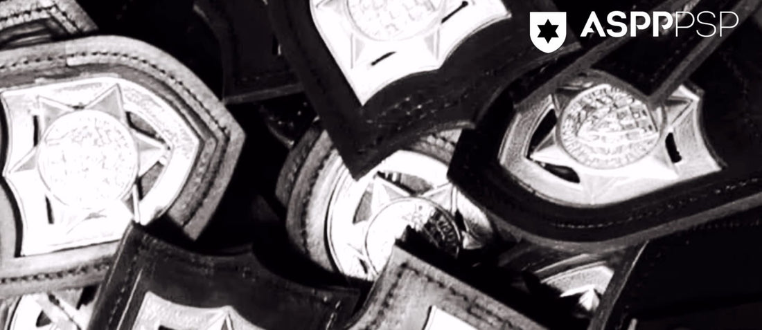 Suicídios nas Forças de Segurança | Enquadramento e Posicionamento ASPP/PSP