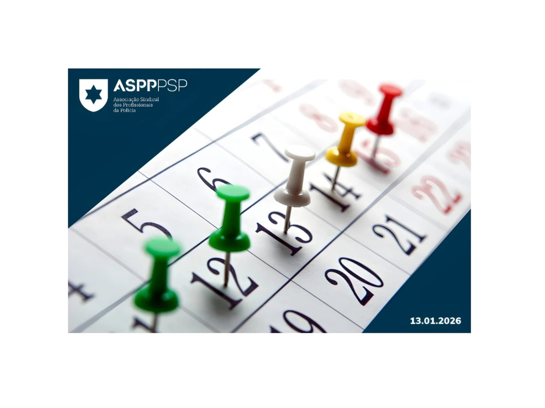 Regulamento de Férias | Envio de Ofício à DN/PSP - (Despacho n.º 6231/2025)